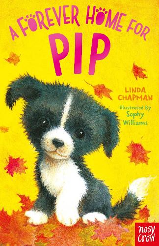 A Forever Home for Pip - Forever Homes (Paperback)