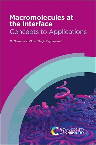 Macromolecules at the Interface: Concepts to Applications (Paperback)