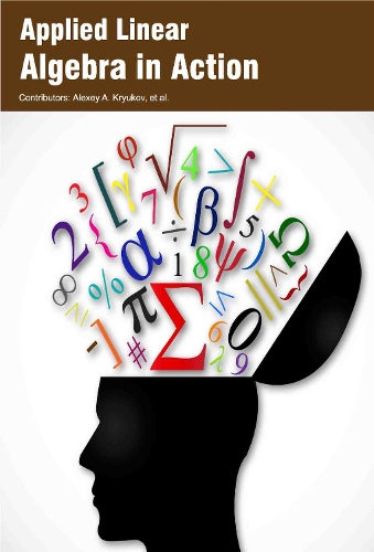 Applied Linear Algebra in Action (Hardback)