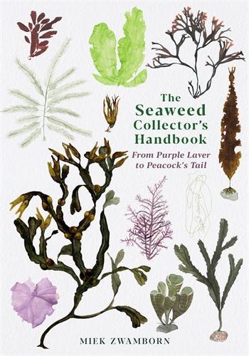 The Seaweed Collector's Handbook: From Purple Laver to Peacock's Tail (Paperback)