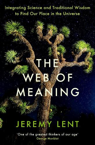 The Web of Meaning: Integrating Science and Traditional Wisdom to Find Our Place in the Universe (Hardback)
