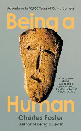 Being a Human: Adventures in 40,000 Years of Consciousness (Hardback)
