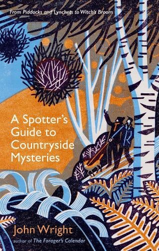 A Spotter's Guide to Countryside Mysteries: From Piddocks and Lynchets to Witch's Broom (Hardback)