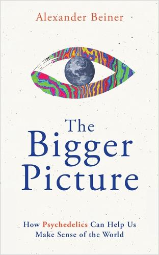 The Bigger Picture: How Psychedelics Can Help Us Make Sense of the World (Paperback)