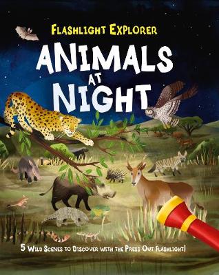 Flashlight Explorers: Animals at Night: 5 Magical Scenes to Discover with the Flashlight! (Hardback)