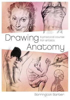 Drawing Anatomy (Paperback)