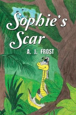 Sophie's Scar (Paperback)