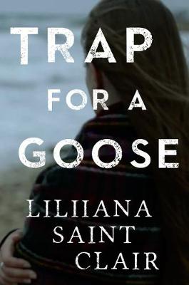 Trap for a Goose (Paperback)