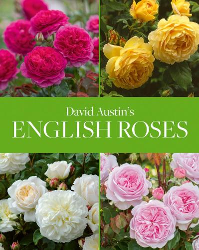 Acc Art Books David Austin's English Roses
