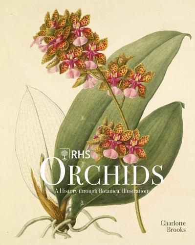 RHS Orchids (Hardback)