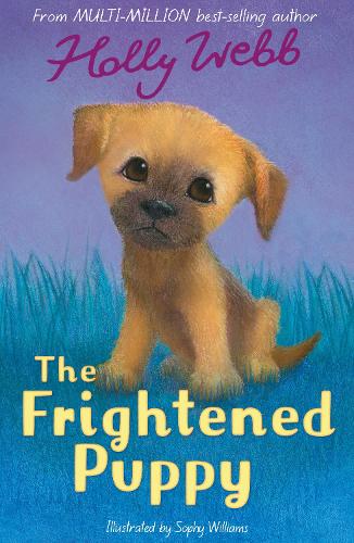 The Frightened Puppy - Holly Webb Animal Stories 52 (Paperback)
