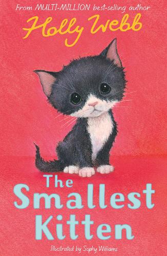 The Smallest Kitten - Holly Webb Animal Stories 53 (Paperback)