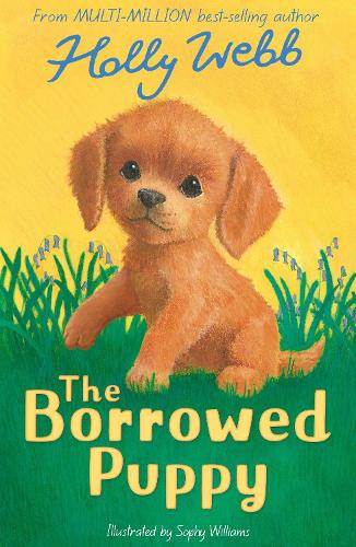 The Borrowed Puppy - Holly Webb Animal Stories (Paperback)