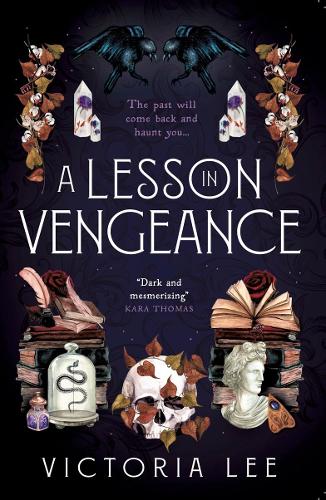 A Lesson in Vengeance alternative edition book cover