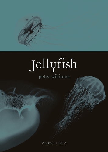 Peter Williams Jellyfish