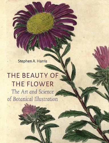 Reaktion Books The Beauty Of The Flower