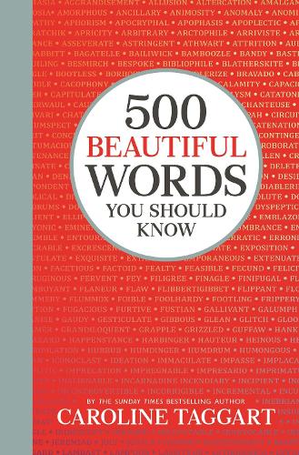 500 Beautiful Words You Should Know (Hardback)
