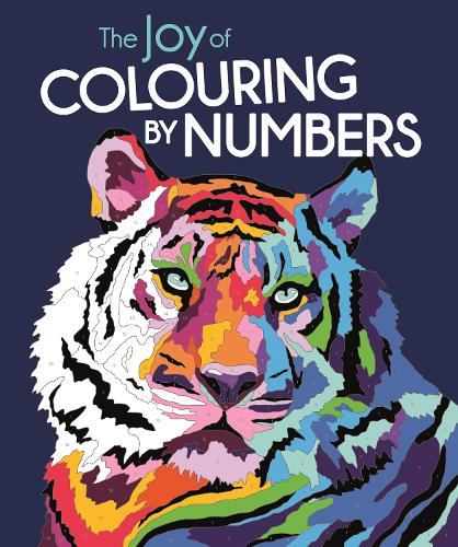 The Joy of Colouring by Numbers (Paperback)