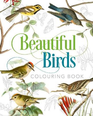 Download Beautiful Birds Colouring Book By John James Audubon Peter Gray Waterstones