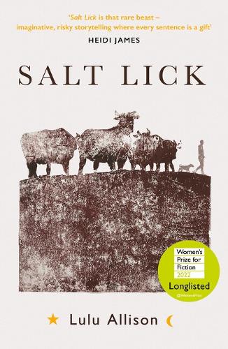 Salt Lick (Paperback)