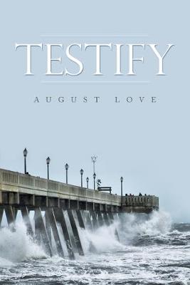 Testify (Paperback)