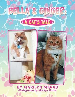 Bella & Ginger: a Cat's Tale (Paperback)