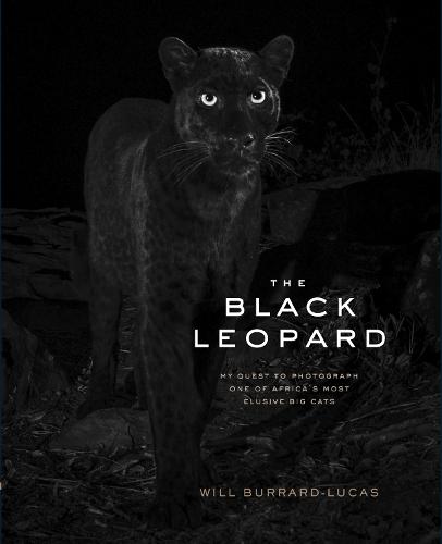 The Black Leopard: My Quest to Photograph One of Africa's Most Elusive Big Cats (Hardback)