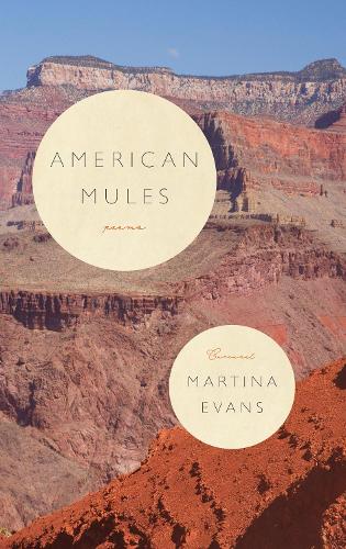 American Mules (Paperback)