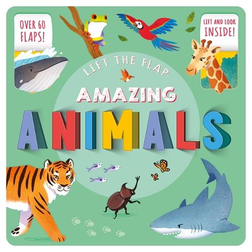 Lift The Flap: Amazing Animals by Autumn Publishing | Waterstones