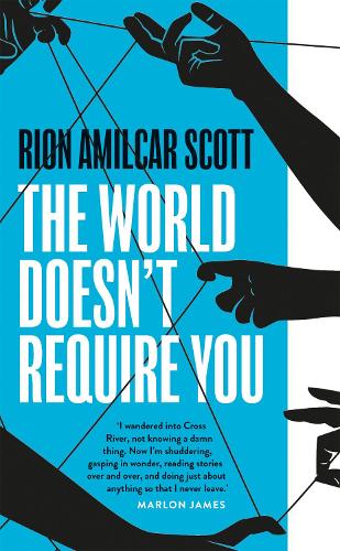 The World Doesn't Require You (Paperback)