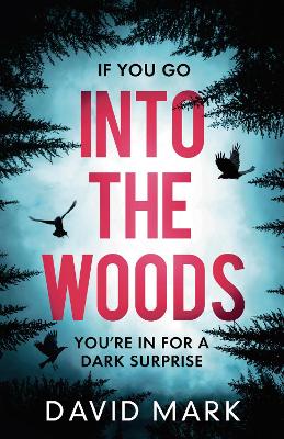 Into the Woods (Paperback)
