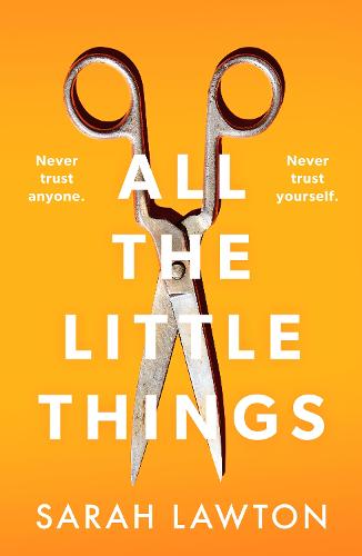 All The Little Things: A tense and gripping thriller with an unforgettable ending (Paperback)