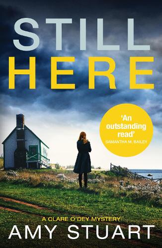 Still Here: An absolutely gripping private investigator crime novel - A Clare O'Dey Mystery 3 (Paperback)