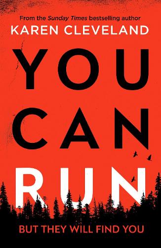 You Can Run: An unputdownable thriller (Paperback)