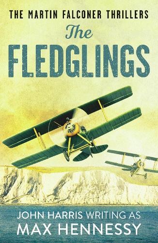 The Fledglings - The Martin Falconer Thrillers 1 (Paperback)