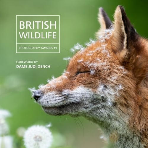 British Wildlife Photography Awards 2023 By Will Nicholls | Waterstones