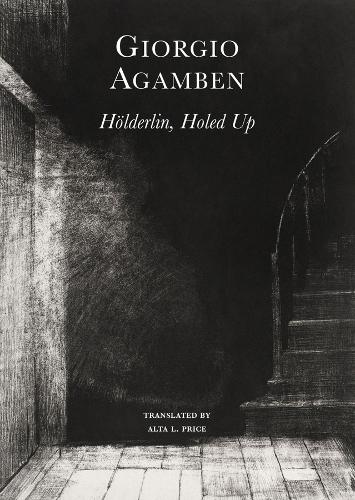 Hölderlin′s Madness – Chronicle of a Dwelling Life, 1806–1843 (Hardback)