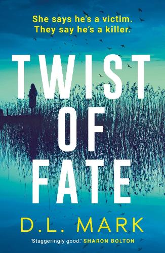 Twist of Fate (Paperback)
