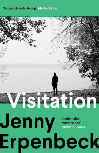 Cover of Visitation