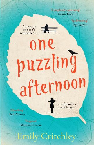 One Puzzling Afternoon (Hardback)