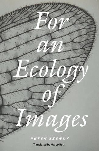 For an Ecology of Images (Paperback)