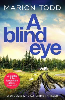 A Blind Eye: A twisty and gripping detective thriller - Detective Clare Mackay (Paperback)