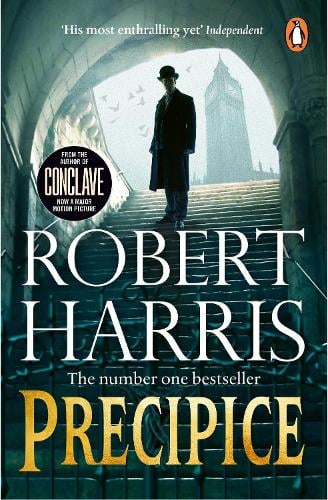 Precipice (Paperback)