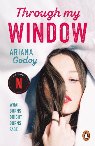 Book cover of Through My Window