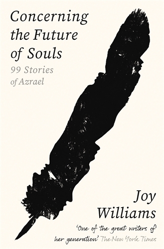 Concerning the Future of Souls cover