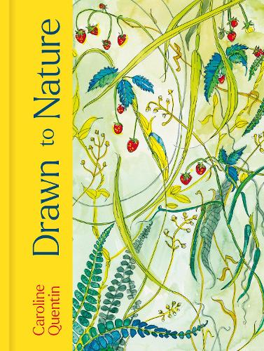Quarto Publishing Plc Drawn To Nature