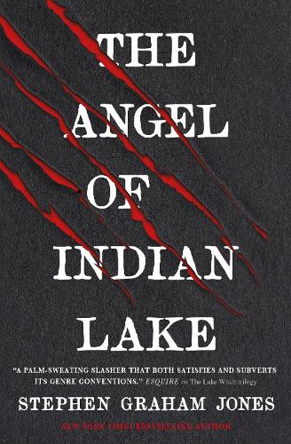 Cover of The Angel of Indian Lake