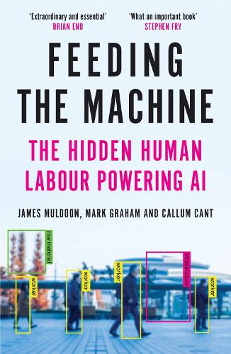 Feeding the Machine: The Hidden Human Labour Powering AI (Paperback)