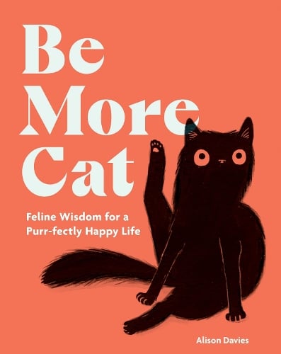 Be More Cat Be More Cat