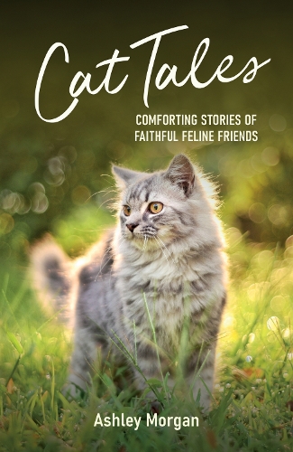 Cat Tales: Comforting Stories of Faithful Feline Friends (Paperback)